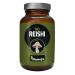 HANOJU BIO Reishi Ekstrakt - Wsparcie odporności - 400 mg 90 kaps.