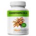 Mycomedica Cordyceps CS-4 Suplement diety - 90 kapsułek
