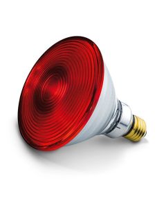 Promiennik podczerwieni 150 W -  żarówka do lampy Solux Beurer IL 21 i IL 35