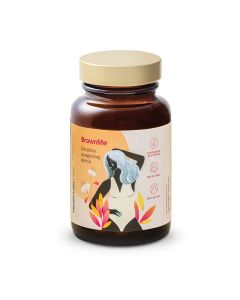 Health Labs Care BrownMe - Piękna opalenizna, odżywiona skóra - 30 kapsułek