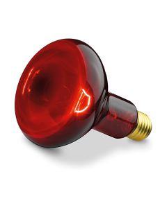 Promiennik podczerwieni 100 W - żarówka do lampy Solux Beurer IL 11