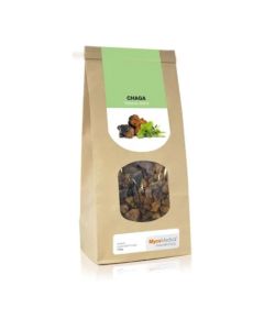 MycoMedica - Chaga - Suszony grzyb - 100g