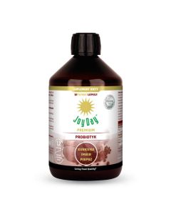 Joy Day kurkuma imbir pieprz 500ml eko probiotyk