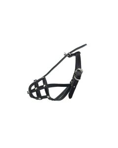 KAGANIEC SKÓRA 0 Chihuahua