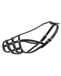 KAGANIEC SKÓRA C3 Collie