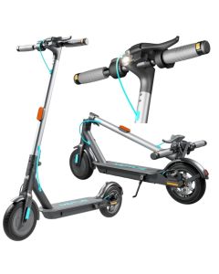 Motus Hulajnoga Scooty 10" Lite 2023
