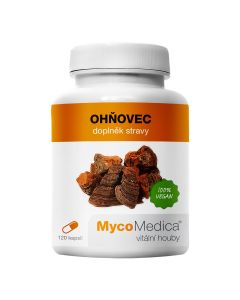 MycoMedica - Phellinus linteus - Suplement diety zawiera grzyby lecznicze - 120 kapsułek