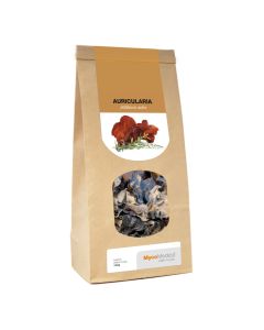 MycoMedica - Uszak bzowy - Ucho Judasza - Uszak judaszowy - 100 g