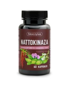 NATTOKINAZA Fermokinase