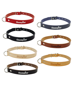 Obroża dla psa Champion skórzana - różne rozmiary i kolory