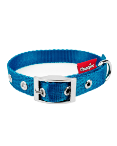 OBROŻA TAŚMA TURKUS