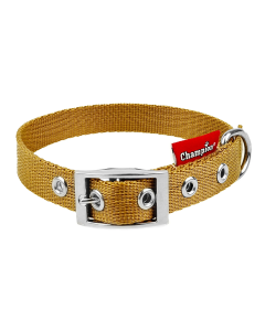 OBROŻA TAŚMA ZŁOTY