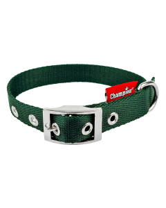 OBROŻA TAŚMA ZIELONY