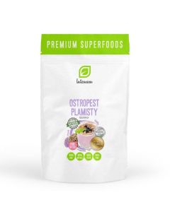 Intenson Ostropest Plamisty w ziarnach - 500g