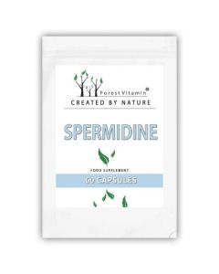 Spermidyna 