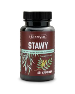 Skoczylas Stawy