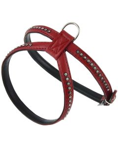 SZELKA SE & CYRKONIA CZERWONY