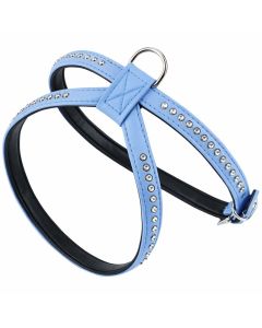 SZELKA SE & CYRKONIA NIEBIESKI