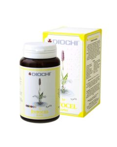 Diochi Intocel - kapsułki regenerujące i detoksykujące - 90 kapsułek