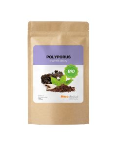 MycoMedica - Polyporus - Żagiew wielogłowa w proszku - 100g