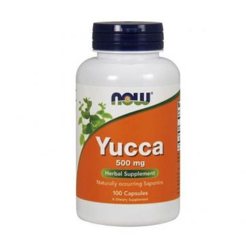 Now Foods Yucca - Jukka korzeń 500 mg 100 kaps.