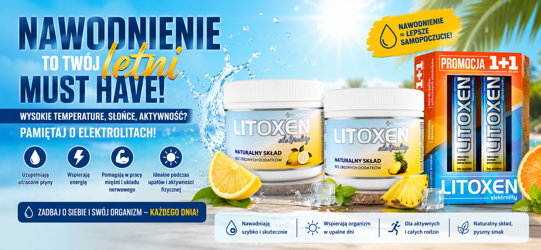 Xenico działania marketingowe