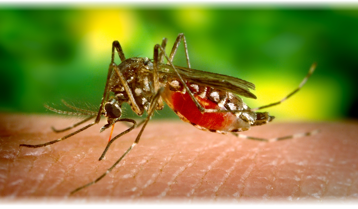 Mugga Spray Ikarydyna 20% - Mugga na komary i kleszcze 75ml