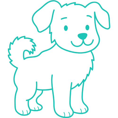 Wizualizacja funkcji: Szerokość 2,5 cm