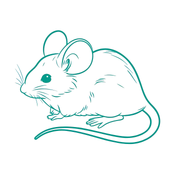 Przyrząd do oczyszczania twarzy 