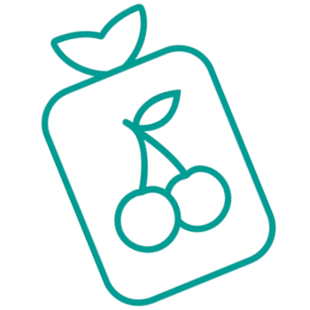 Termofor z pestek wiśni 