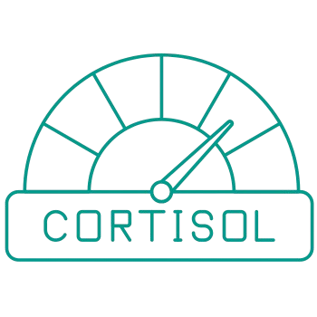 kortyzol