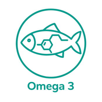 Termofor z pestek wiśni 